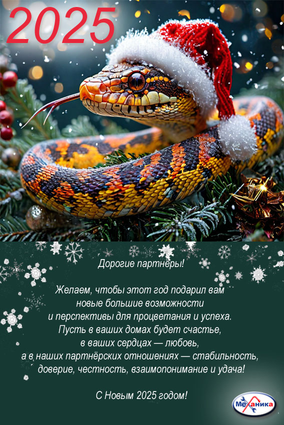 С новым 2025 годом!!!